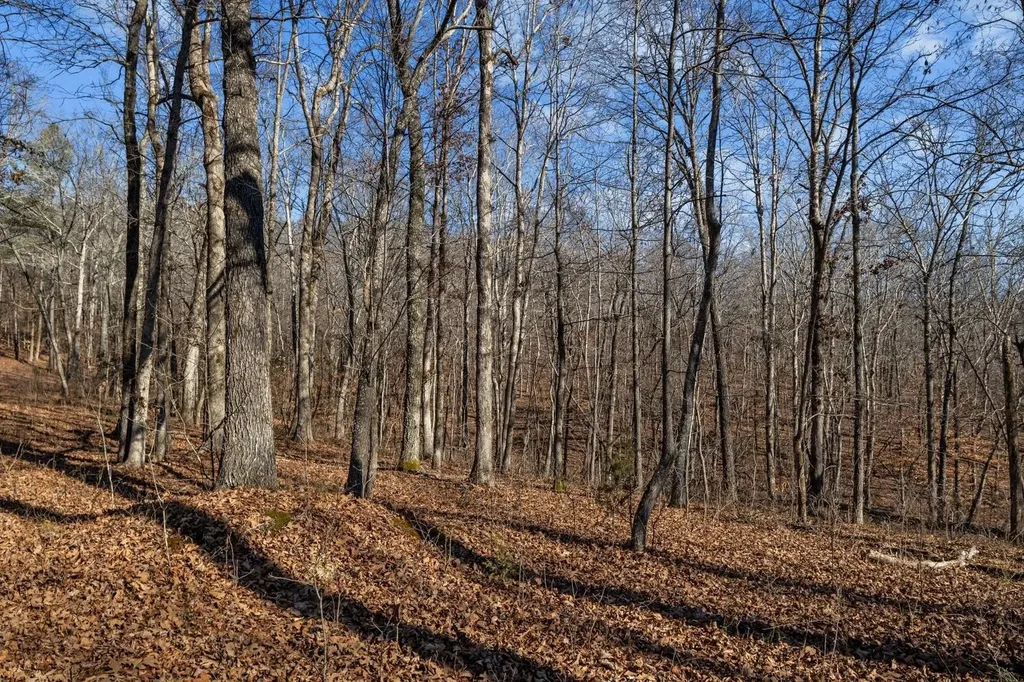 0 Roberts Creek Road Waverly TN 37185
