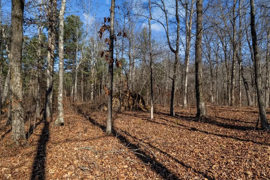 0 Roberts Creek Road Waverly TN 37185