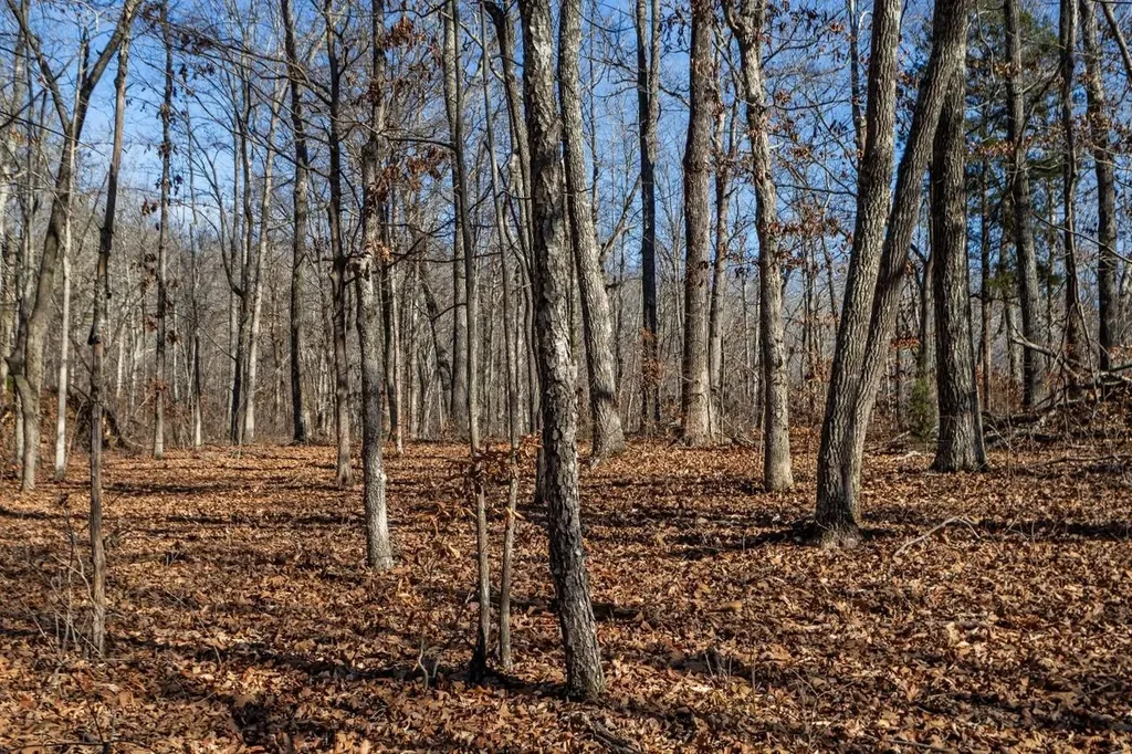 0 Roberts Creek Road Waverly TN 37185