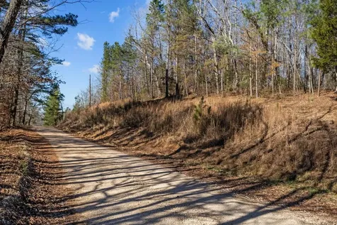0 Roberts Creek Road Waverly TN 37185