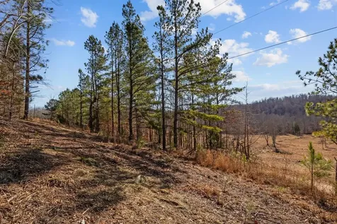 0 Roberts Creek Road Waverly TN 37185