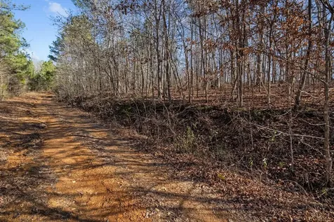 0 Roberts Creek Road Waverly TN 37185