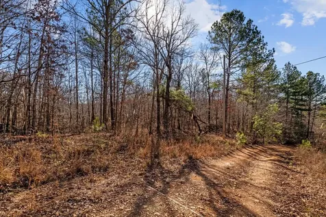 0 Roberts Creek Road Waverly TN 37185