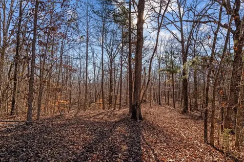 0 Roberts Creek Road Waverly TN 37185