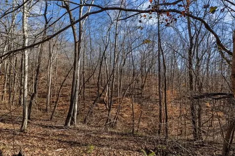 0 Roberts Creek Road Waverly TN 37185