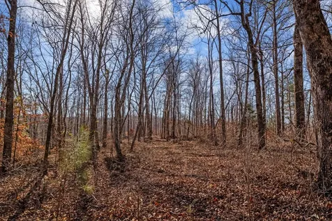 0 Roberts Creek Road Waverly TN 37185