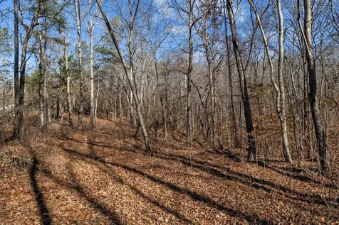 0 Roberts Creek Road Waverly TN 37185