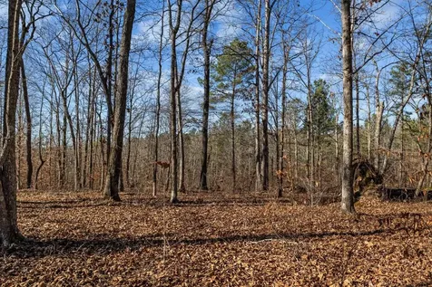 0 Roberts Creek Road Waverly TN 37185