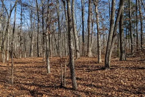 0 Roberts Creek Road Waverly TN 37185