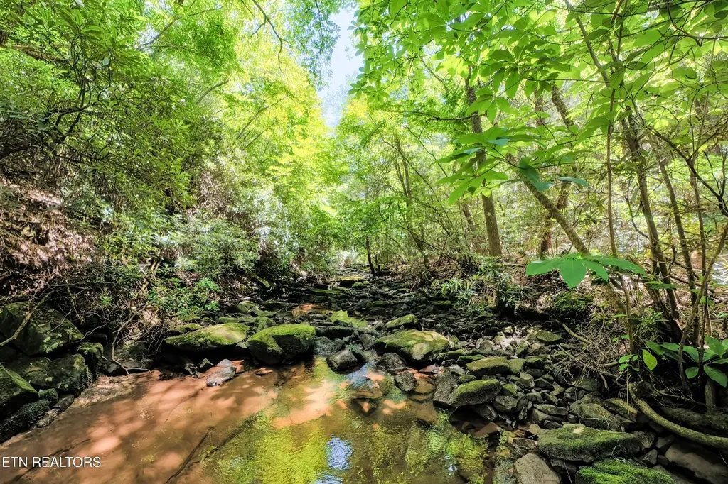 0 Leffle Webb Road Crossville TN 38572