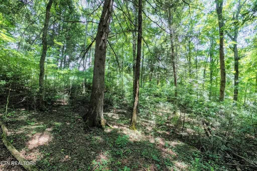 0 Leffle Webb Road Crossville TN 38572