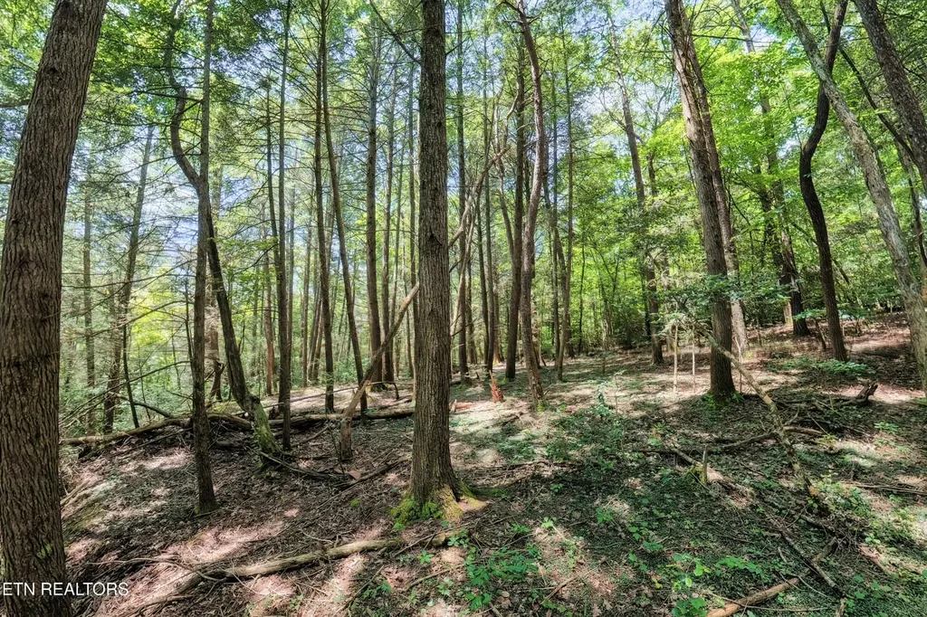 0 Leffle Webb Road Crossville TN 38572