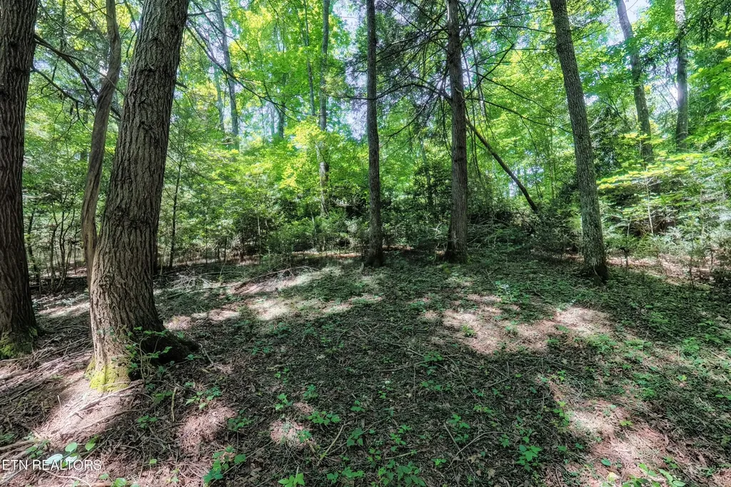 0 Leffle Webb Road Crossville TN 38572