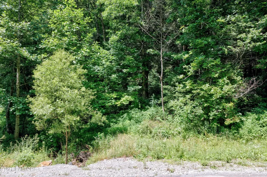 0 Leffle Webb Road Crossville TN 38572