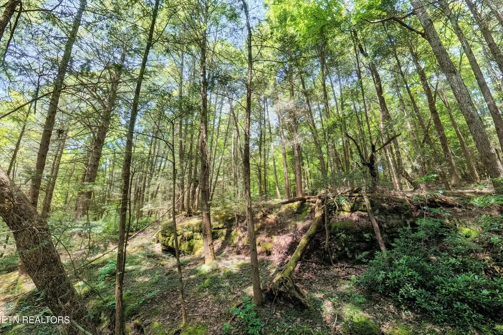 0 Leffle Webb Road Crossville TN 38572