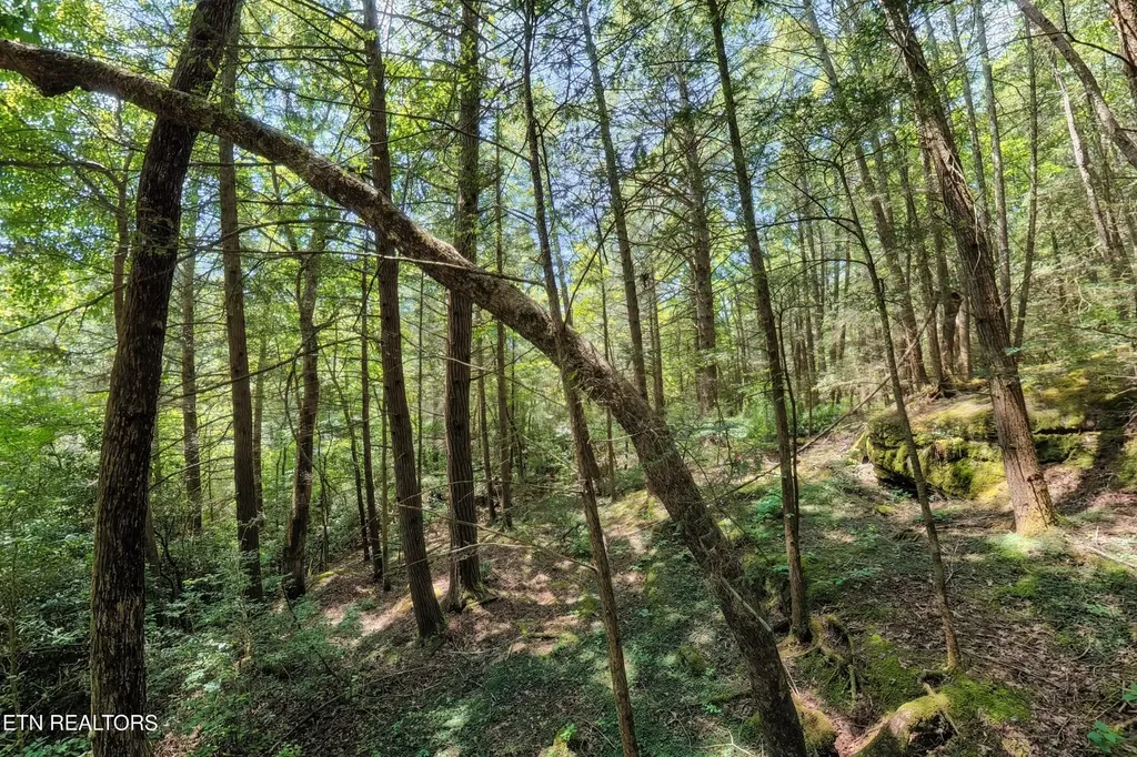 0 Leffle Webb Road Crossville TN 38572