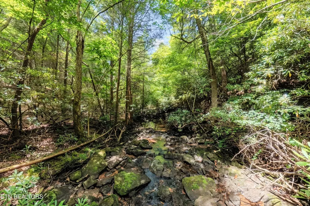 0 Leffle Webb Road Crossville TN 38572