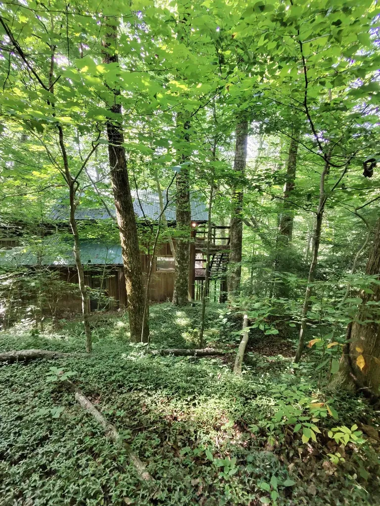 2450 Ponder Road Smithville TN 37166