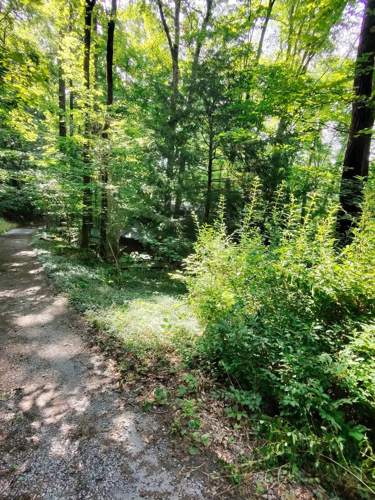 2450 Ponder Road Smithville TN 37166