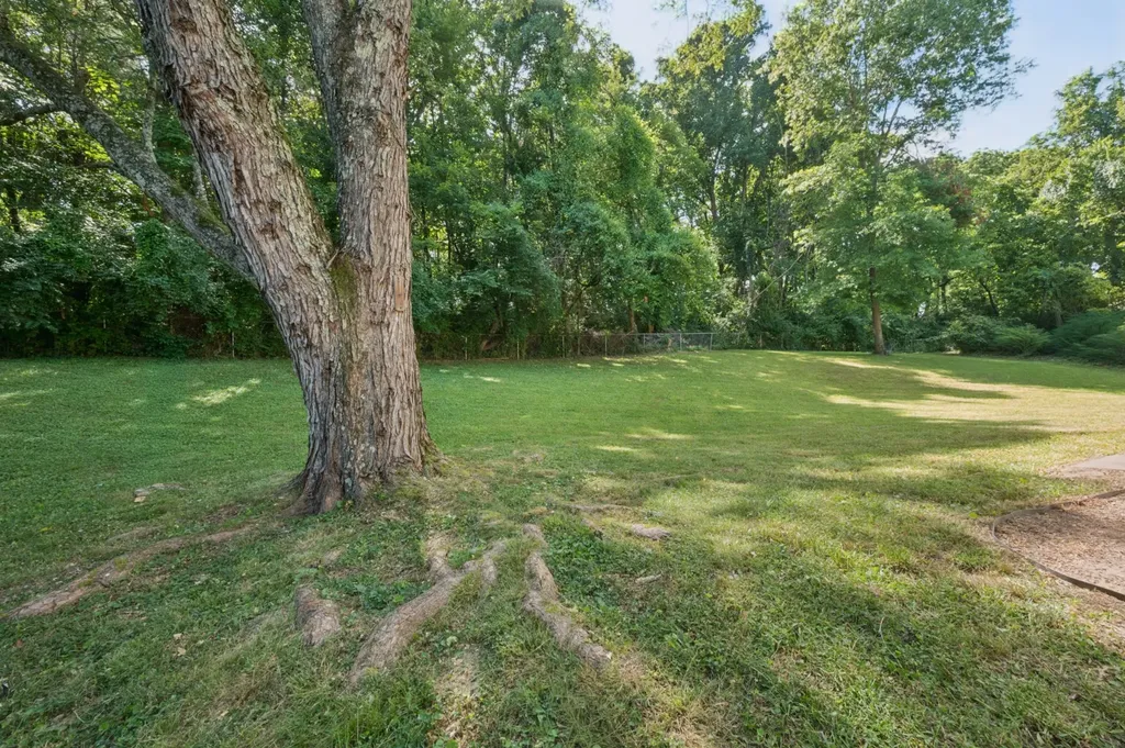 133 Shihmen Court Antioch TN 37013