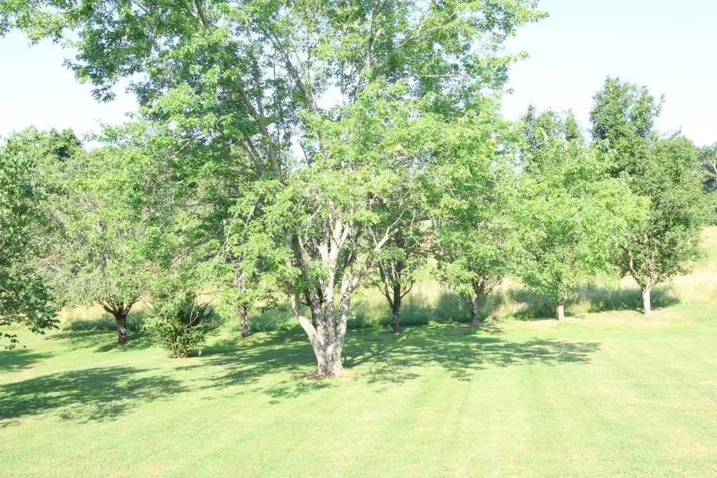 332 Hazeltine Drive Gallatin TN 37066