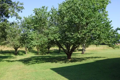332 Hazeltine Drive Gallatin TN 37066