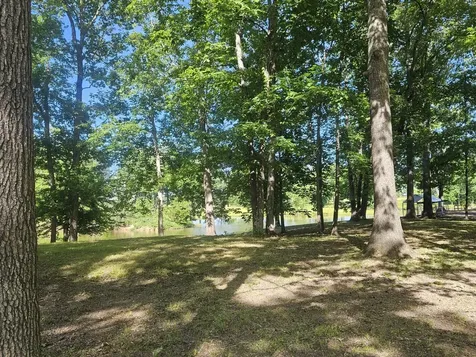 261 Lakeview Drive Bath Springs TN 38311