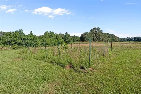 1030 Upper Creek Road Vanleer TN 37181