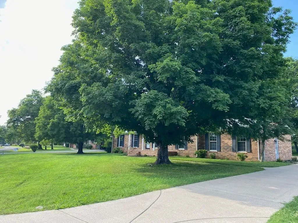 968 Galloway Street Lewisburg TN 37091