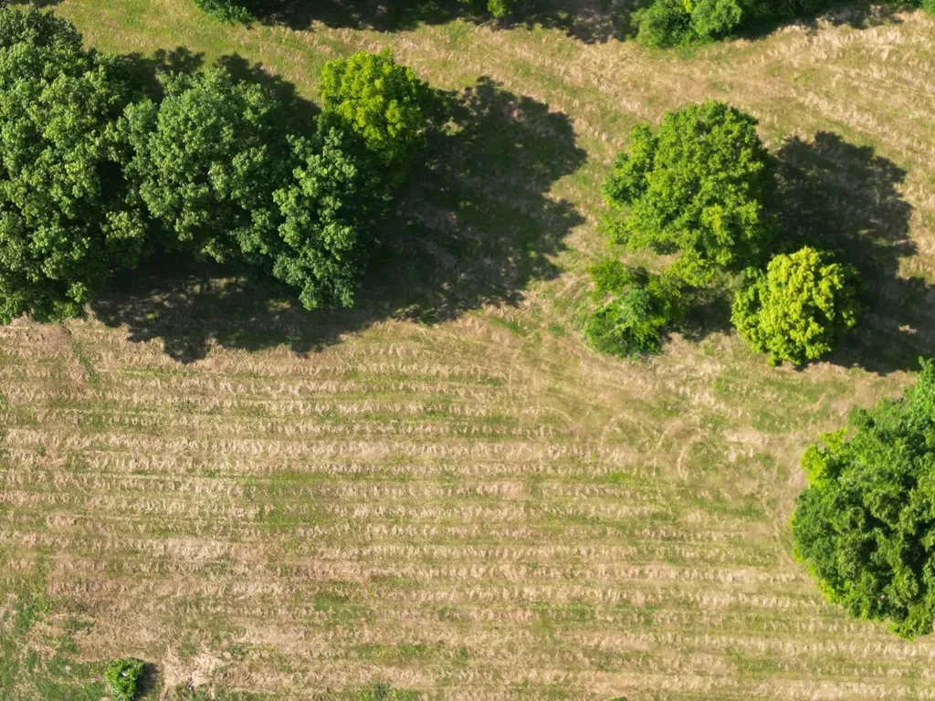 0 Jennings Creek Highway Gainesboro TN 38562