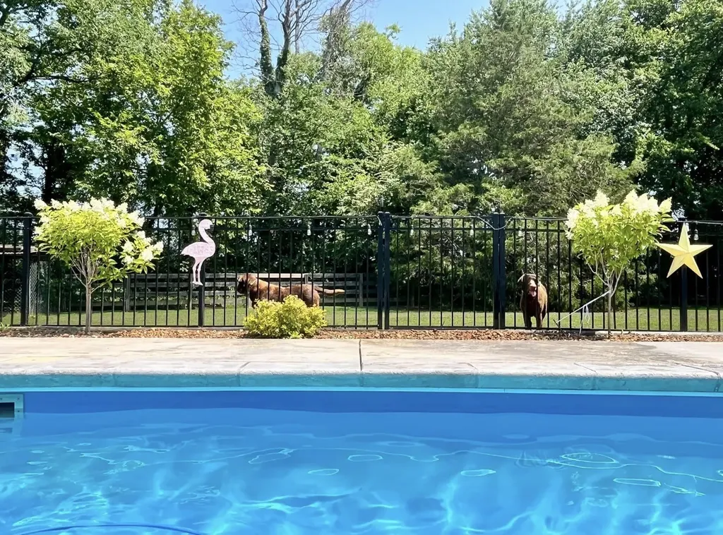 2118 Sue Lane Spring Hill TN 37174