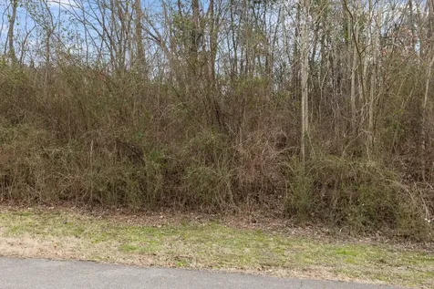 497 Wayne Avenue Chattanooga TN 37405