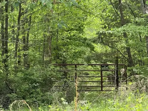 637 Hargis Road Bumpus Mills TN 37028