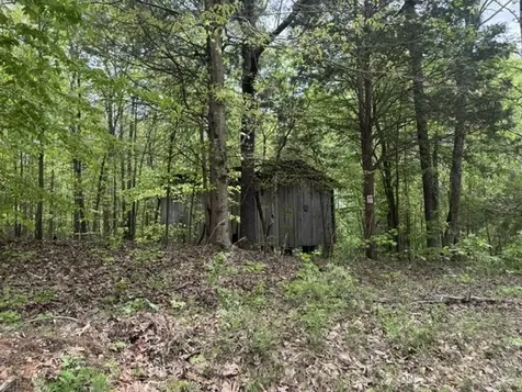 637 Hargis Road Bumpus Mills TN 37028