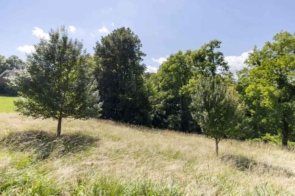 1202 Valarie Lane Columbia TN 38401