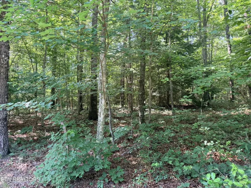390 Georgee Road Jamestown TN 38556