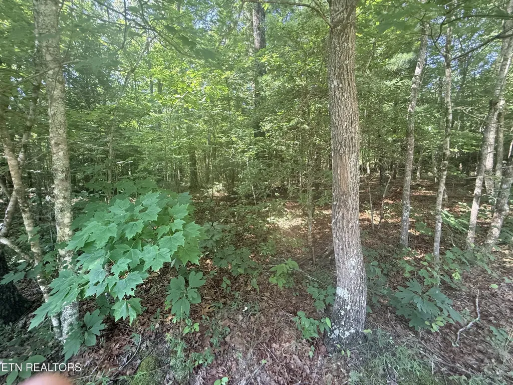 390 Georgee Road Jamestown TN 38556