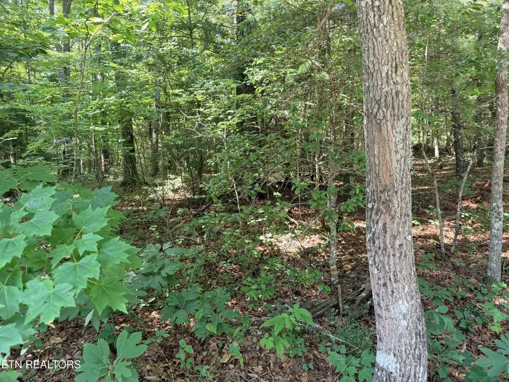 390 Georgee Road Jamestown TN 38556