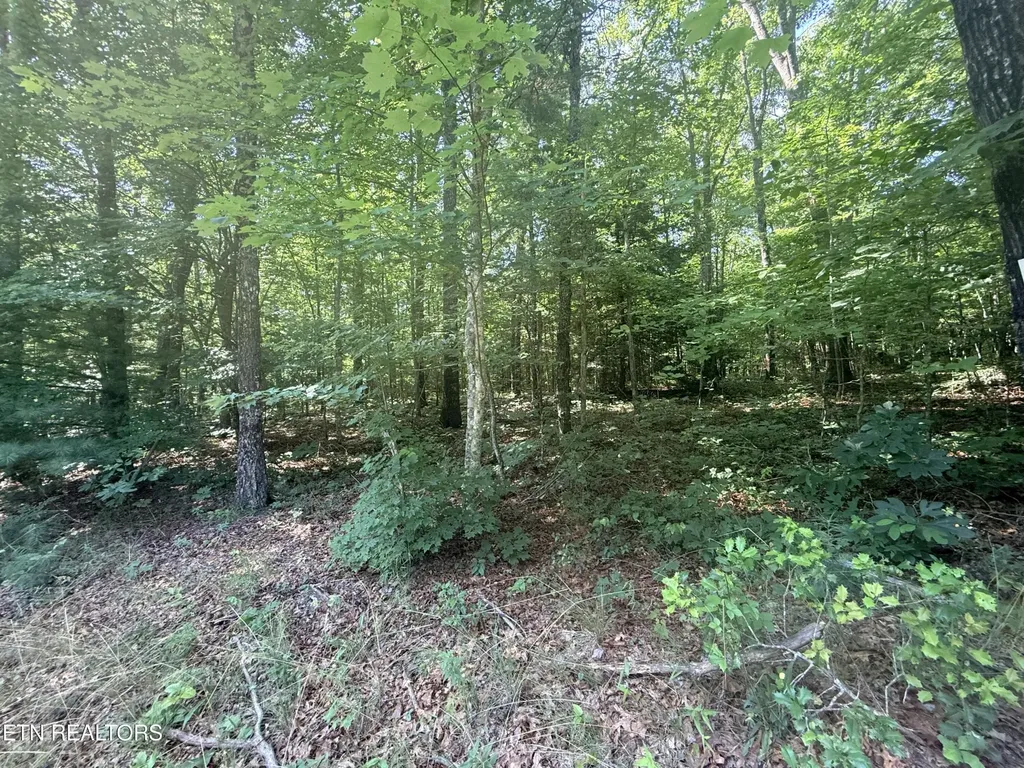 390 Georgee Road Jamestown TN 38556