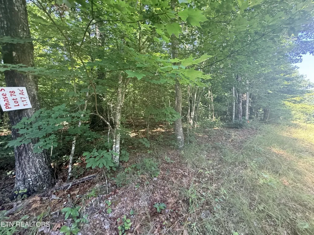 390 Georgee Road Jamestown TN 38556