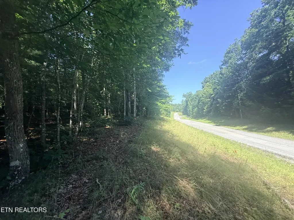 390 Georgee Road Jamestown TN 38556