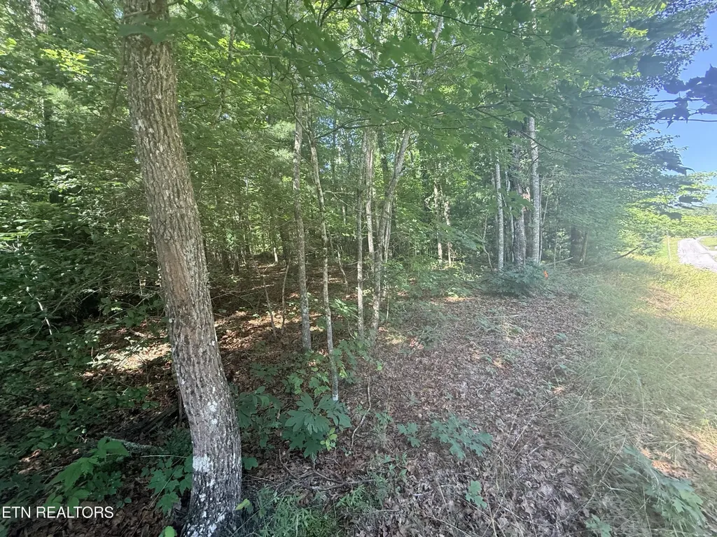 390 Georgee Road Jamestown TN 38556