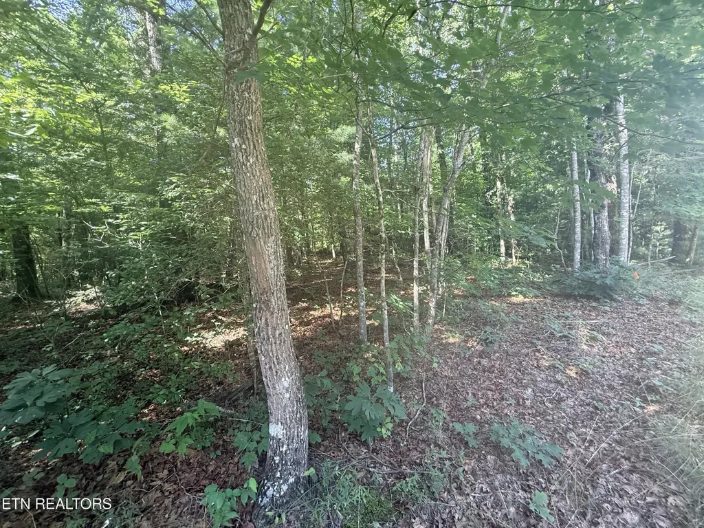 390 Georgee Road Jamestown TN 38556