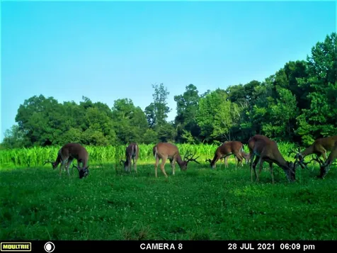 2270 Shuler Branch Road Ethridge TN 38456