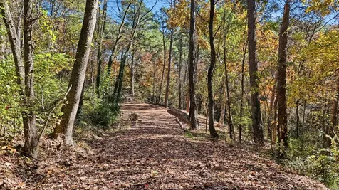 4401 James Lane Chattanooga TN 37416