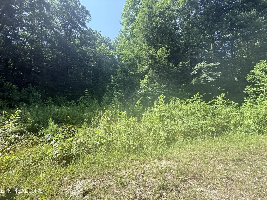 760 Dubose Drive Jamestown TN 38556