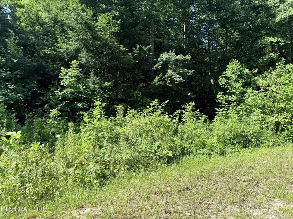 760 Dubose Drive Jamestown TN 38556