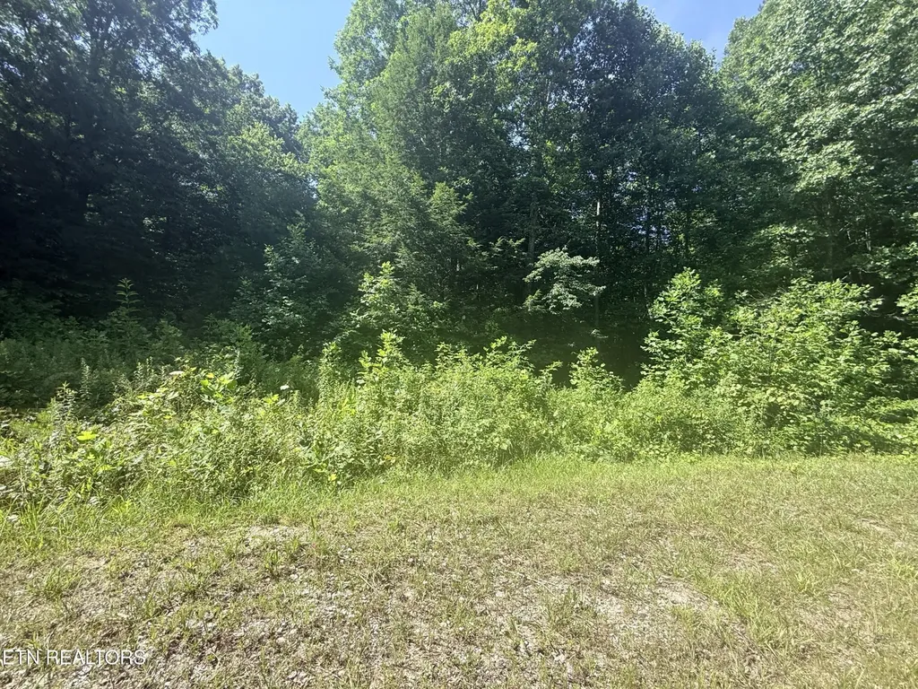 760 Dubose Drive Jamestown TN 38556