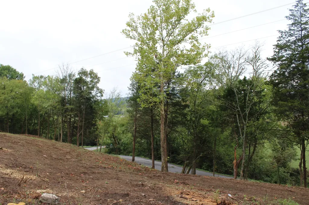 2819 Yell Road Lewisburg TN 37091