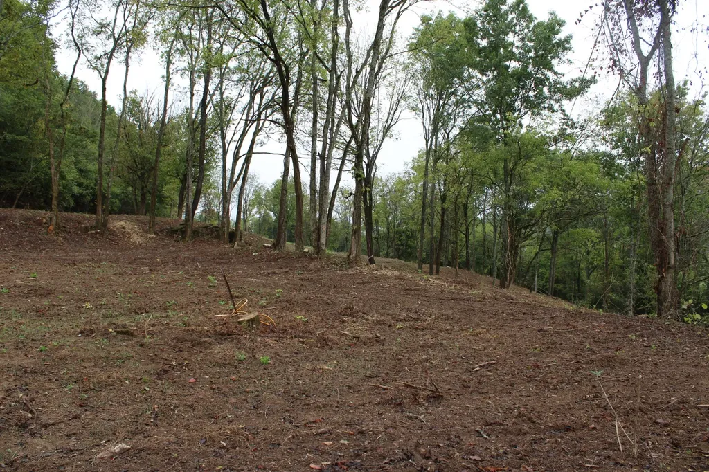 2819 Yell Road Lewisburg TN 37091